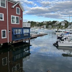 The Salted Cod Arthouse - View from the back door