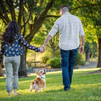Tonya Perme Photography - Pet Photography Near Me - Sacramento, California