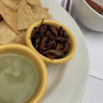 Mezcal - Crickets - Mexican Near Me - San Jose, California Mezcal - Crickets - Mexican Near Me - San Jose, California