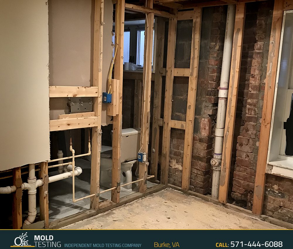 O2 Mold Testing - Burke - mold inspector in Burke, VA