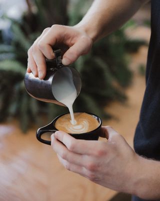 The Boy & The Bear - Sherman Oaks by null