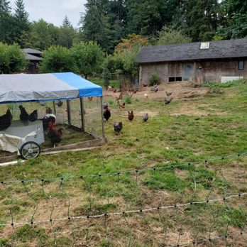 Nettles Farm - Bed & Breakfast Near Me - Lummi Island, Washington