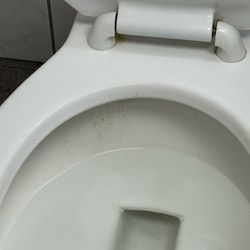 Bosselman - Upstairs shower toilet