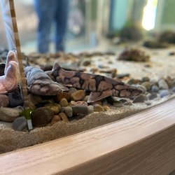 Children's Museum & Theatre Of Maine