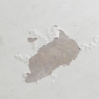 Golden Bear Walls - a bear paw on the wall - General Contractors Near Me - San Mateo, California Golden Bear Walls - a bear paw on the wall - General Contractors Near Me - San Mateo, California
