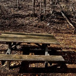 Lehigh Park