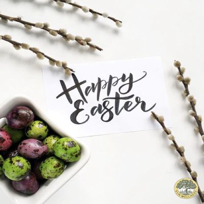 Elm Wellness by null