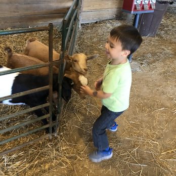 Cornucopia Farm - a young boy petting a goat - Farmers Market Near Me - Scottsburg, Indiana