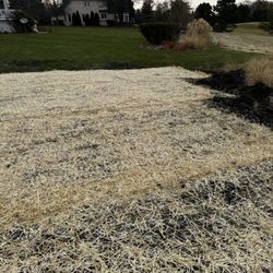 Ryan's Landscape - Grading and seed netting