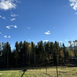 Glacier Homestead