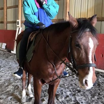 Newport Equestrian Academy - Determined 85 year old young lady who wanted to ride despite her bad hip. - Horseback Riding Near Me - Middletown, Rhode Island