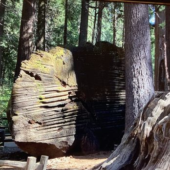 Calaveras Big Trees State Park - Parks Near Me - Arnold, California
