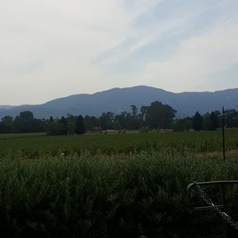 Mumm Napa - Experienced a variety of weather and loved it allll! - Wine Tasting Room Near Me - Rutherford, California Mumm Napa - Experienced a variety of weather and loved it allll! - Wine Tasting Room Near Me - Rutherford, California