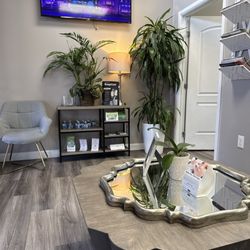 Pico Rivera Dental Smiles - From lobby