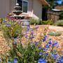 Photo of Living Garden Design