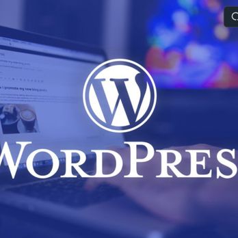 NSG Consulting - NSG Works with WordPress for Custom Websites - Marketing Near Me - Orlando, Florida
