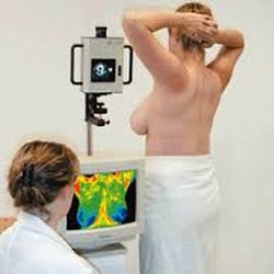 Thermography of Miami