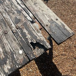 Brendon Park Apartments - Picnic table