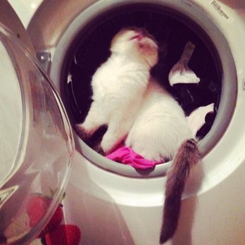 Your Appliance Repair - We fix most of the washers and dryers! Call today to become friends forever!:) - Appliances & Repair Near Me Your Appliance Repair - We fix most of the washers and dryers! Call today to become friends forever!:) - Appliances & Repair Near Me