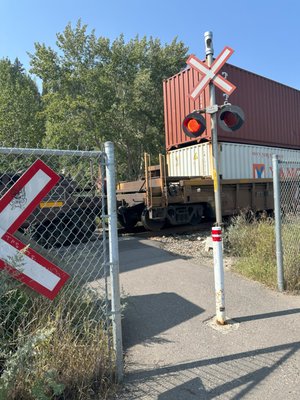 Joe’s Garage Bicycle Rental and Repair by null