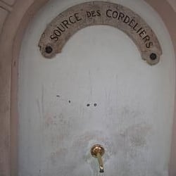 Source des cordeliers - Alligatorbayou ... Two points !