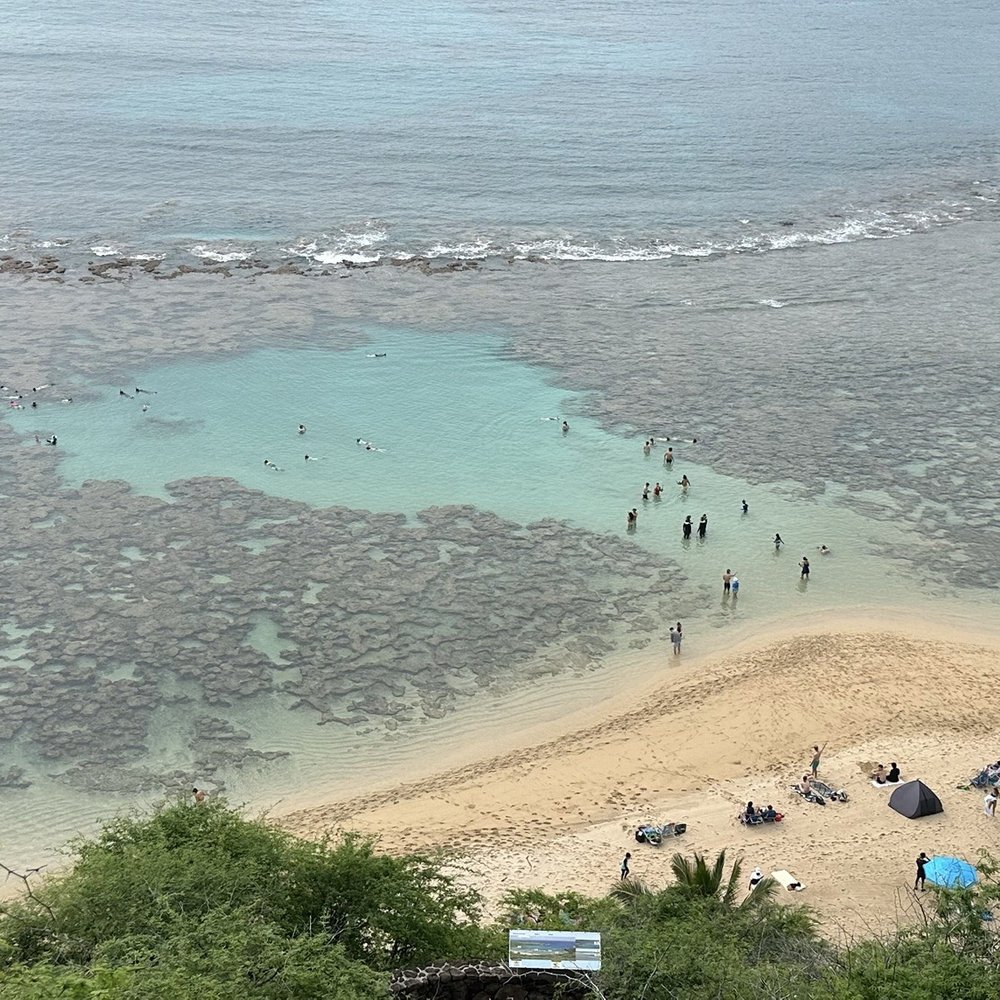 Aloha Hawaii Tours - Hanauma Bay - Bus Tours Near Me - Honolulu, Hawaii Aloha Hawaii Tours - Hanauma Bay - Bus Tours Near Me - Honolulu, Hawaii