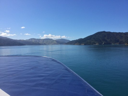 Interislander Picton by null