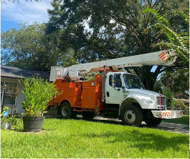 GRASS MONKEY LAWN AND TREE SERVICES Updated October 2024 Altamonte