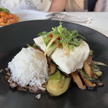 Spago - Halibut with bok choy and mushrooms - New American Near Me - Las Vegas, Nevada Spago - Halibut with bok choy and mushrooms - New American Near Me - Las Vegas, Nevada