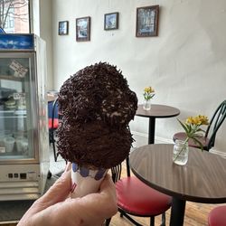 Mt. Tom's Homemade Ice Cream - Chocolate fudge, brownie, and cashew turtle with Jimmy's