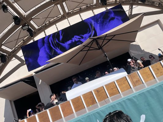 AYU Dayclub by null