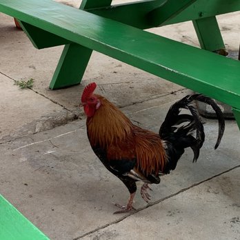 Al Pastor - Daddy rooster. - Mexican Near Me - Kapaa, Hawaii