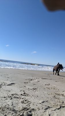 Kiawah Beachwalker Park by null