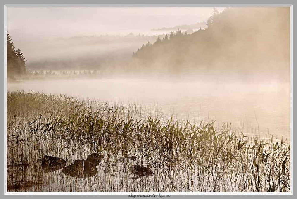 ALGONQUIN TREKS & IMAGES GUIDED CANOE TRIPS Updated September 2024