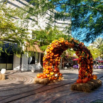 Giralda Plaza - Fall decorations - Venues & Event Spaces Near Me - Coral Gables, Florida Giralda Plaza - Fall decorations - Venues & Event Spaces Near Me - Coral Gables, Florida