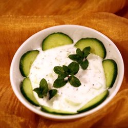 Teheran Pars - Yogurt
