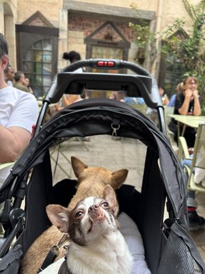 Maison Millière - Restaurant Boutique Bar à vin et Salon de thé by null