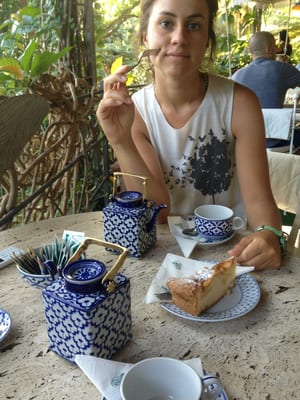 Giardini la Mortella by null