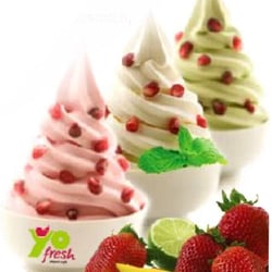 Yofresh Yogurt Café