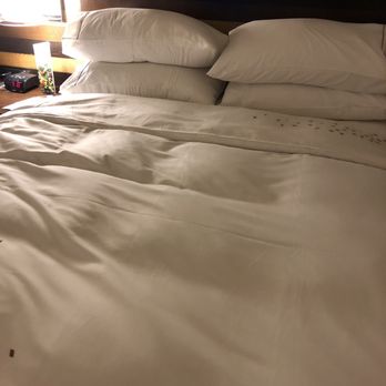Renaissance Austin Hotel - Hotels Near Me - Austin, Texas Renaissance Austin Hotel - Hotels Near Me - Austin, Texas