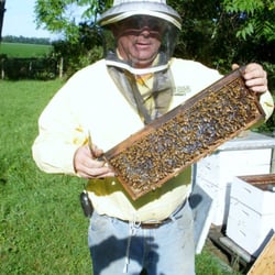Dawg Gone Bees - Our beekeeper!