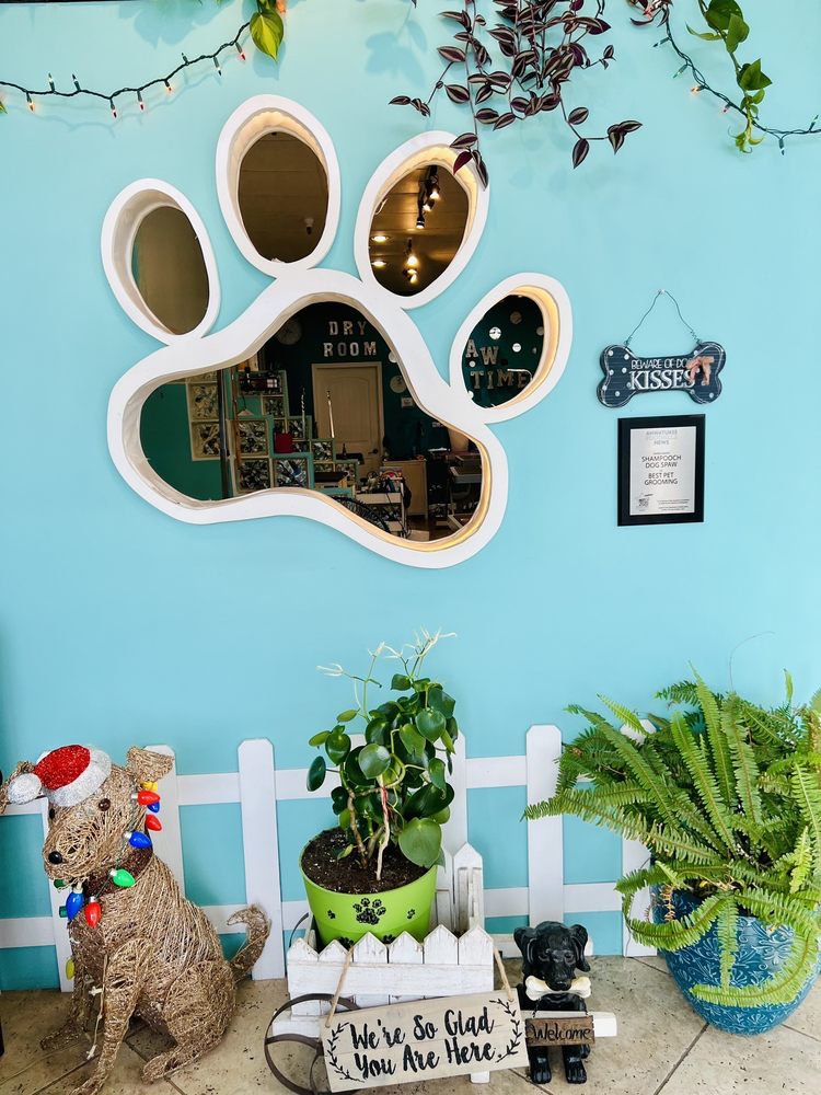 SHAMPOOCH DOG SPAW Updated September 2024 45 Photos & 52 Reviews