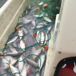 Port Penn Bait & Tackle