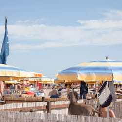 Rimini Dog No Problem - Bagno 81