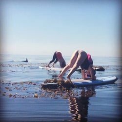 Ocean Yoga Bliss - A dolphin swimming behind us as we're doing dolphin pose!!