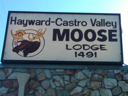 The Moose - Hayward-Castro Valley Lodge 1491 by null