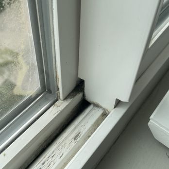 Absolutely Clean Agency - Office Cleaning Near Me