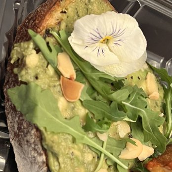 Toasted Gastrobrunch - Breakfast & Brunch Near Me - Oceanside, California Toasted Gastrobrunch - Breakfast & Brunch Near Me - Oceanside, California