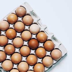 24Eggs