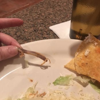La Tolteca - Chicken bone. - Mexican Near Me - La Plata, Maryland La Tolteca - Chicken bone. - Mexican Near Me - La Plata, Maryland